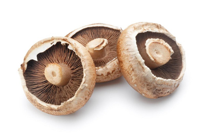 Produktfoto zu Bio-Portobello
