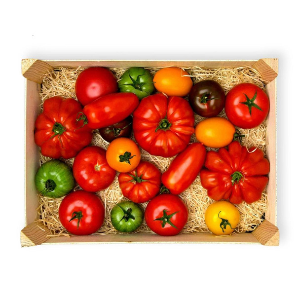 Produktfoto zu Bio-Fleischtomaten