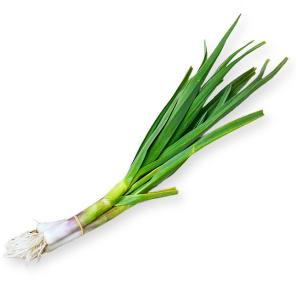 Produktfoto zu Bio-Bund-Knoblauch