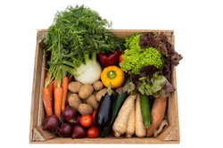 Produktfoto zu Bio-Gemüsekiste groß