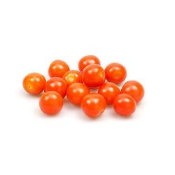 Produktfoto zu Bio-Mini Tomaten am Strauch