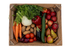 Produktfoto zu Bio-Büroobst & Gemüse Groß