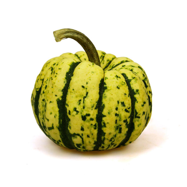 Produktfoto zu Kürbis Sweet Dumpling, 300 - 550 Gramm