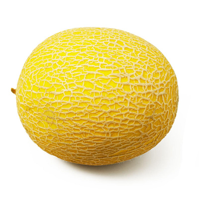 Produktfoto zu Bio-Galia Melone