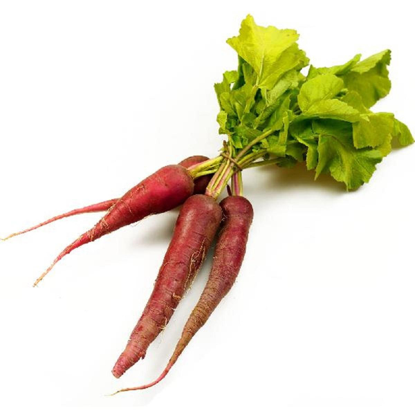 Produktfoto zu Bio-Rettich weiß/lila