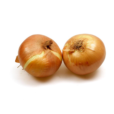 Produktfoto zu Bio-Gemüsezwiebel neue Ernte