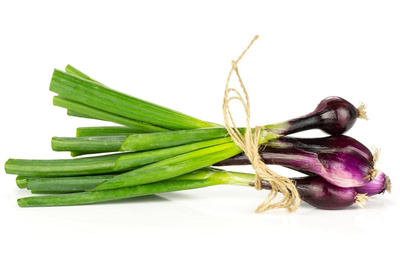 Produktfoto zu Bio-Zwiebel rot  mit Grün