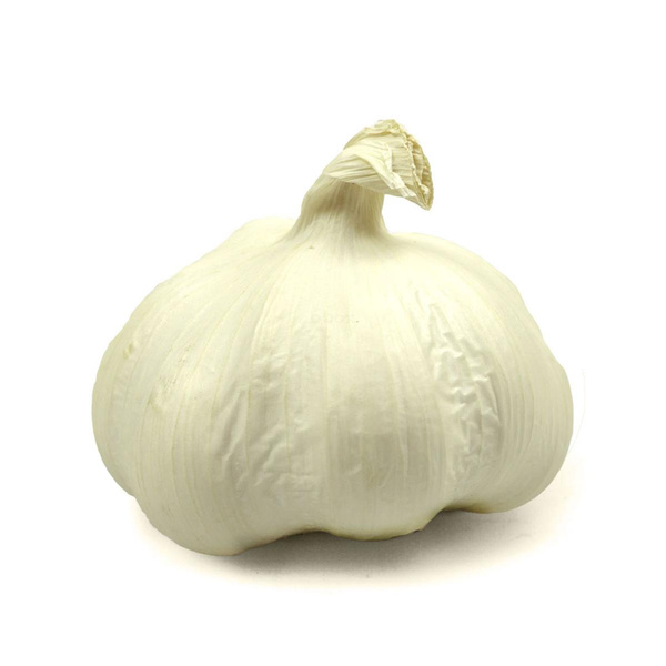Produktfoto zu Bio-Knoblauch frisch