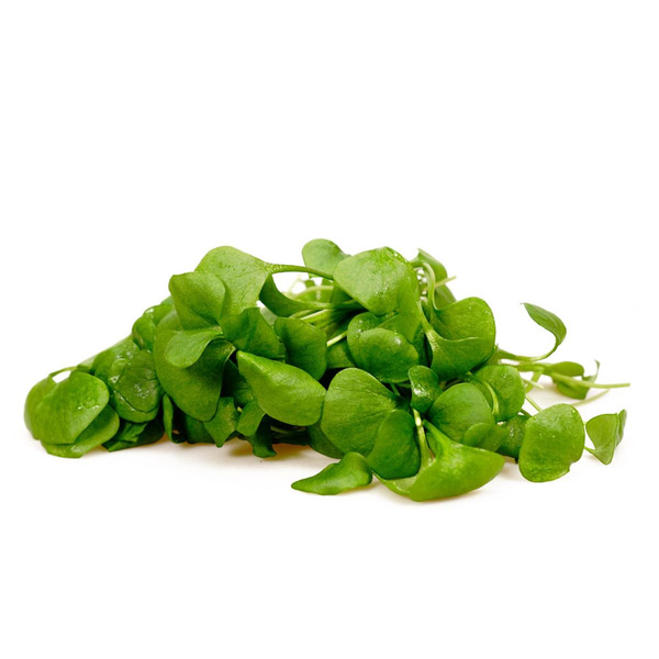 Produktfoto zu Bio-Postelein