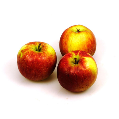 Produktfoto zu neue Ernte