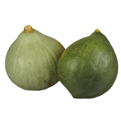 Produktfoto zu Bio-Blue Kuri Kürbis