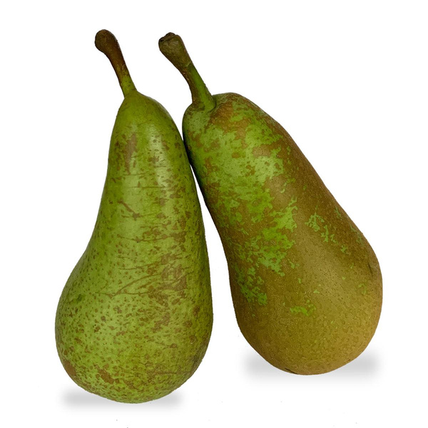 Produktfoto zu Birne Conference