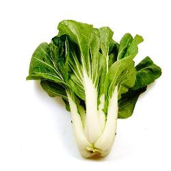 Produktfoto zu Bio-Pak Choy