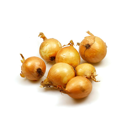 Produktfoto zu Bio-Zwiebel gelb neue Ernte