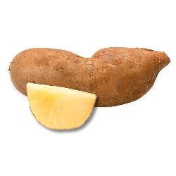 Produktfoto zu Bio-Yacon