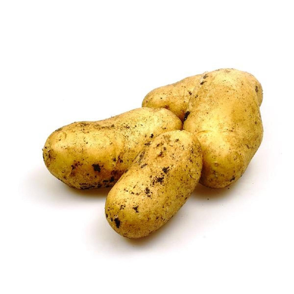Produktfoto zu Bio-Frühkartoffeln vfk