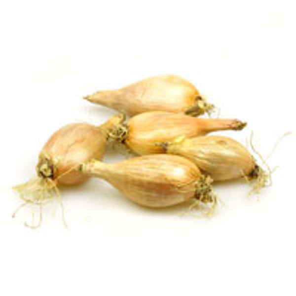 Produktfoto zu Bio-Schalotten violett