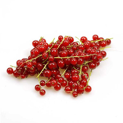 Produktfoto zu Bio-Johannisbeeren rot 250 g