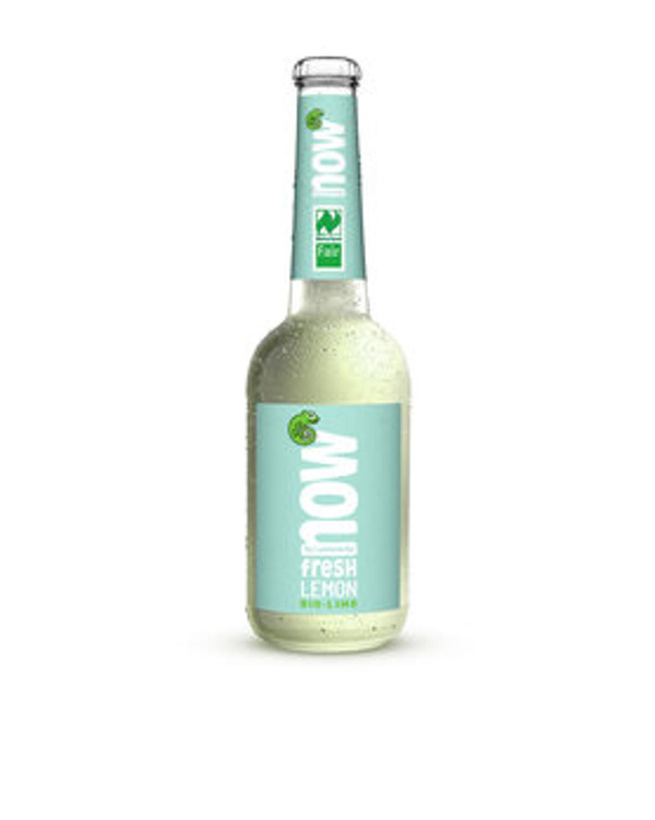 Produktfoto zu now Fresh Lemon 0,33L